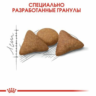 Сухие корма Royal Canin Корм для кошек Royal Canin Indoor Appetite Control сухой сбалансированный для взрослых кошек, живущих в помещении, 2 кг (вид 7) Сухие корма Royal Canin Корм для кошек Royal Canin Indoor Appetite Control сухой сбалансированный для взрослых кошек, живущих в помещении, 2 кг (фото, вид 7)