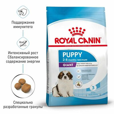 Сухие корма Royal Canin Корм сухой для щенков очень крупных пород в возрасте до 8 месяцев Royal Canin Giant Puppy, 15 кг (вид 2) Сухие корма Royal Canin Корм сухой для щенков очень крупных пород в возрасте до 8 месяцев Royal Canin Giant Puppy, 15 кг (фото, вид 2)