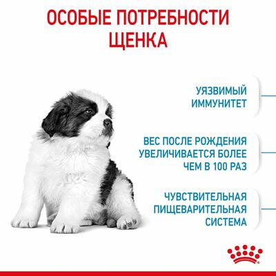 Сухие корма Royal Canin Корм сухой для щенков очень крупных пород в возрасте до 8 месяцев Royal Canin Giant Puppy, 15 кг (вид 3) Сухие корма Royal Canin Корм сухой для щенков очень крупных пород в возрасте до 8 месяцев Royal Canin Giant Puppy, 15 кг (фото, вид 3)