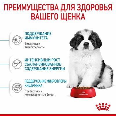 Сухие корма Royal Canin Корм сухой для щенков очень крупных пород в возрасте до 8 месяцев Royal Canin Giant Puppy, 15 кг (вид 4) Сухие корма Royal Canin Корм сухой для щенков очень крупных пород в возрасте до 8 месяцев Royal Canin Giant Puppy, 15 кг (фото, вид 4)