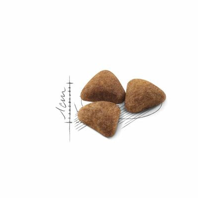 Сухие корма Royal Canin Корм для кошек Royal Canin Indoor 27 Корм сухой сбалансированный для взрослых кошек, живущих в помещении, 4 кг (вид 4) Сухие корма Royal Canin Корм для кошек Royal Canin Indoor 27 Корм сухой сбалансированный для взрослых кошек, живущих в помещении, 4 кг (фото, вид 4)