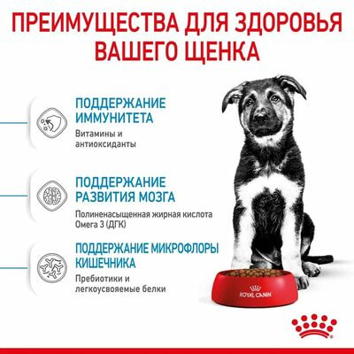 Сухие корма Royal Canin Корм сухой для щенков крупных пород в возрасте до 15 месяцев Royal Canin Maxi Puppy, 15 кг (вид 5) Сухие корма Royal Canin Корм сухой для щенков крупных пород в возрасте до 15 месяцев Royal Canin Maxi Puppy, 15 кг (фото, вид 5)