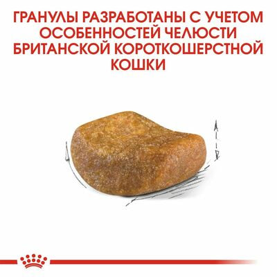 Сухие корма Royal Canin Корм сухой сбалансированный Royal Canin British Shorthair Adult для взрослых британских короткошерстных кошек, 2 шт по 400 г (вид 5) Сухие корма Royal Canin Корм сухой сбалансированный Royal Canin British Shorthair Adult для взрослых британских короткошерстных кошек, 2 шт по 400 г (фото, вид 5)