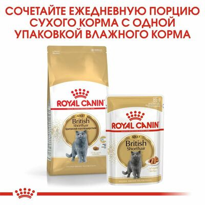 Сухие корма Royal Canin Корм сухой сбалансированный Royal Canin British Shorthair Adult для взрослых британских короткошерстных кошек, 2 шт по 400 г (вид 6) Сухие корма Royal Canin Корм сухой сбалансированный Royal Canin British Shorthair Adult для взрослых британских короткошерстных кошек, 2 шт по 400 г (фото, вид 6)