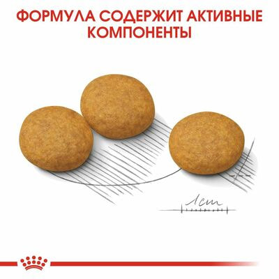 Сухие корма Royal Canin Корм для взрослых собак средних размеров при раздражениях и зуде кожи Royal Canin Medium Dermacomfort, сухой, 3 кг (вид 6) Сухие корма Royal Canin Корм для взрослых собак средних размеров при раздражениях и зуде кожи Royal Canin Medium Dermacomfort, сухой, 3 кг (фото, вид 6)