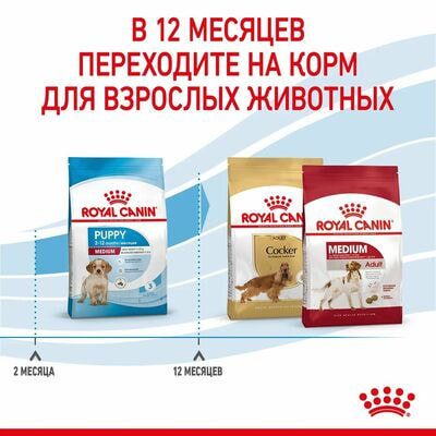 Сухие корма Royal Canin Корм сухой для щенков средних пород в возрасте до 2 месяцев, беременных и кормящих сук Royal Canin Medium Starter, 12 кг (вид 5) Сухие корма Royal Canin Корм сухой для щенков средних пород в возрасте до 2 месяцев, беременных и кормящих сук Royal Canin Medium Starter, 12 кг (фото, вид 5)