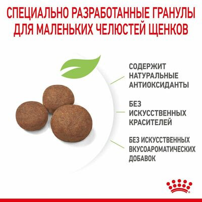 Сухие корма Royal Canin Корм сухой для щенков средних пород в возрасте до 2 месяцев, беременных и кормящих сук Royal Canin Medium Starter, 12 кг (вид 8) Сухие корма Royal Canin Корм сухой для щенков средних пород в возрасте до 2 месяцев, беременных и кормящих сук Royal Canin Medium Starter, 12 кг (фото, вид 8)