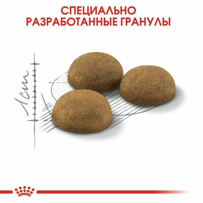 Сухие корма Royal Canin Корм сухой сбалансированный для взрослых длинношерстных кошек Royal Canin Indoor Long Hair, живущих в помещении, 2 шт по 400 г (вид 5) Сухие корма Royal Canin Корм сухой сбалансированный для взрослых длинношерстных кошек Royal Canin Indoor Long Hair, живущих в помещении, 2 шт по 400 г (фото, вид 5)