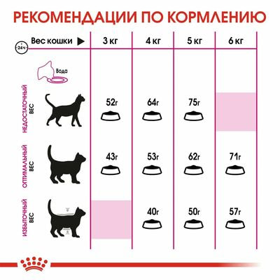 Сухие корма Royal Canin Корм сухой сбалансированный Royal Canin Protein Exigent для привередливых взрослых кошек от 1 года, 2 кг (вид 4) Сухие корма Royal Canin Корм сухой сбалансированный Royal Canin Protein Exigent для привередливых взрослых кошек от 1 года, 2 кг (фото, вид 4)