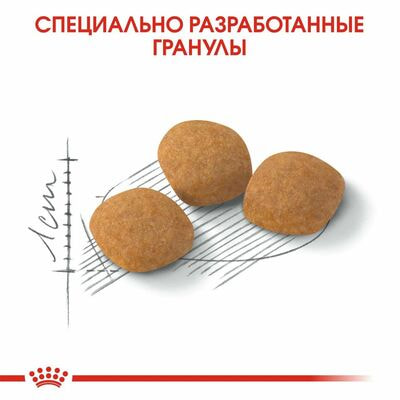 Сухие корма Royal Canin Корм сухой сбалансированный Royal Canin Protein Exigent для привередливых взрослых кошек от 1 года, 2 кг (вид 5) Сухие корма Royal Canin Корм сухой сбалансированный Royal Canin Protein Exigent для привередливых взрослых кошек от 1 года, 2 кг (фото, вид 5)