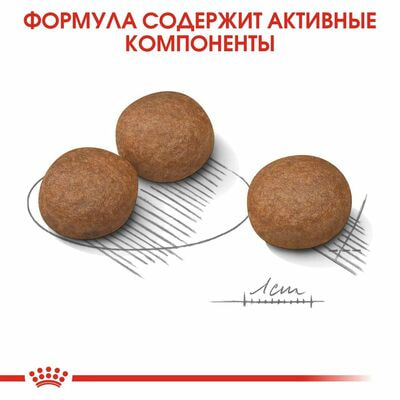 Сухие корма Royal Canin Корм для взрослых собак средних размеров с чувствительным пищеварением Royal Canin Medium Digestive Care, сухой, 10 кг (вид 4) Сухие корма Royal Canin Корм для взрослых собак средних размеров с чувствительным пищеварением Royal Canin Medium Digestive Care, сухой, 10 кг (фото, вид 4)