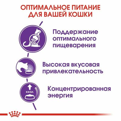 Сухие корма Royal Canin Корм для взрослых кошек с чувствительной пищеварительной системой Royal Canin Sensible 33 сухой сбалансированный, 2 шт по 400 г (вид 5) Сухие корма Royal Canin Корм для взрослых кошек с чувствительной пищеварительной системой Royal Canin Sensible 33 сухой сбалансированный, 2 шт по 400 г (фото, вид 5)