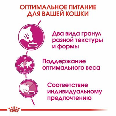 Сухие корма Royal Canin Корм для кошек Royal Canin Savour Exigent Корм сухой сбалансированный для привередливых взрослых кошек от 1 года,4 кг (вид 6) Сухие корма Royal Canin Корм для кошек Royal Canin Savour Exigent Корм сухой сбалансированный для привередливых взрослых кошек от 1 года,4 кг (фото, вид 6)
