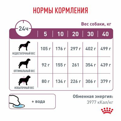 Сухие корма Royal Canin Royal Canin Renal RF 14 Canine Корм сухой диетический для взрослых собак для поддержания функции почек, 14 кг (вид 7) Сухие корма Royal Canin Royal Canin Renal RF 14 Canine Корм сухой диетический для взрослых собак для поддержания функции почек, 14 кг (фото, вид 7)