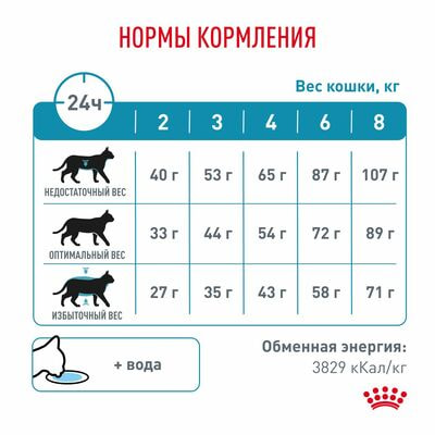 Сухие корма Royal Canin Royal Canin Skin & Coat Корм сухой диетический для кошек для поддержания защитных функций кожи, 2 шт по 400 г (вид 6) Сухие корма Royal Canin Royal Canin Skin & Coat Корм сухой диетический для кошек для поддержания защитных функций кожи, 2 шт по 400 г (фото, вид 6)