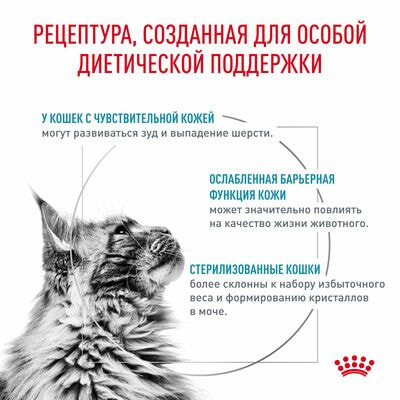 Сухие корма Royal Canin Royal Canin Skin & Coat Корм сухой диетический для кошек для поддержания защитных функций кожи,1,5 кг (вид 2) Сухие корма Royal Canin Royal Canin Skin & Coat Корм сухой диетический для кошек для поддержания защитных функций кожи,1,5 кг (фото, вид 2)