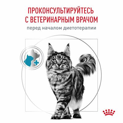 Сухие корма Royal Canin Royal Canin Skin & Coat Корм сухой диетический для кошек для поддержания защитных функций кожи,1,5 кг (вид 3) Сухие корма Royal Canin Royal Canin Skin & Coat Корм сухой диетический для кошек для поддержания защитных функций кожи,1,5 кг (фото, вид 3)