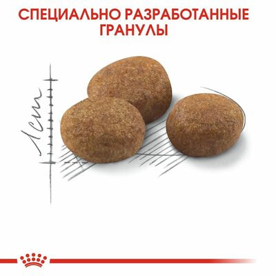 Сухие корма Royal Canin Корм для стерилизованных кошек Royal Canin Sterilised 7+ Корм сухой сбалансированный, 1,5 кг (вид 7) Сухие корма Royal Canin Корм для стерилизованных кошек Royal Canin Sterilised 7+ Корм сухой сбалансированный, 1,5 кг (фото, вид 7)