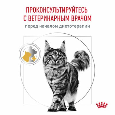 Сухие корма Royal Canin Royal Canin Urinary S/O Moderate Calorie Корм сухой полнорационный диетический для взрослых кошек предрасположенных к набору лишнего веса при мочекаменной болезни, 1,5 кг (вид 3) Сухие корма Royal Canin Royal Canin Urinary S/O Moderate Calorie Корм сухой полнорационный диетический для взрослых кошек предрасположенных к набору лишнего веса при мочекаменной болезни, 1,5 кг (фото, вид 3)