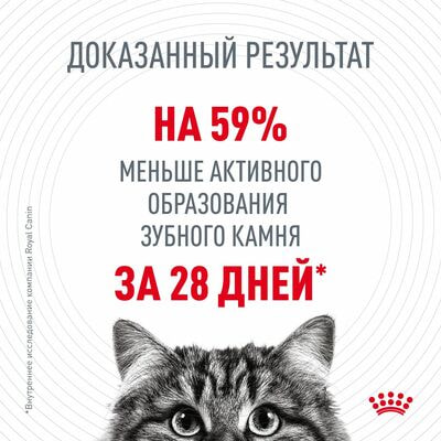 Сухие корма Royal Canin Корм сухой для взрослых кошек Royal Canin Dental Care - для профилактики образования зубного налета и формирования зубного камня, 2 шт по 400 г (вид 4) Сухие корма Royal Canin Корм сухой для взрослых кошек Royal Canin Dental Care - для профилактики образования зубного налета и формирования зубного камня, 2 шт по 400 г (фото, вид 4)