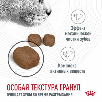 Сухие корма Royal Canin Корм сухой для взрослых кошек Royal Canin Dental Care - для профилактики образования зубного налета и формирования зубного камня, 2 шт по 400 г (вид 6) Сухие корма Royal Canin Корм сухой для взрослых кошек Royal Canin Dental Care - для профилактики образования зубного налета и формирования зубного камня, 2 шт по 400 г (фото, вид 6)