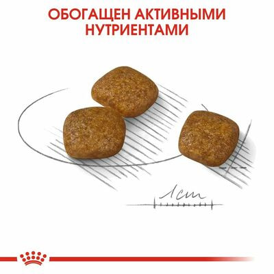 Сухие корма Royal Canin Корм для собак мелких размеров с чувствительной мочевыделительной системой Royal Сanin Mini Urinary Care, сухой, 1 кг (вид 4) Сухие корма Royal Canin Корм для собак мелких размеров с чувствительной мочевыделительной системой Royal Сanin Mini Urinary Care, сухой, 1 кг (фото, вид 4)