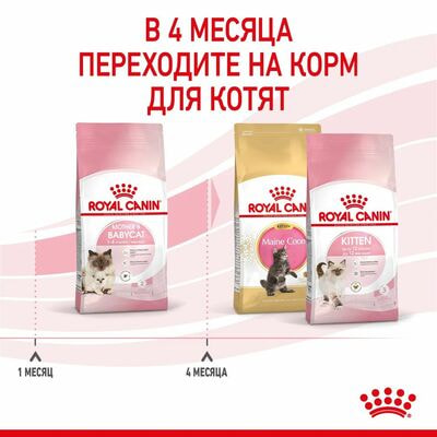 Сухие корма Royal Canin Корм для котят в период первой фазы роста и отъема, беременных и кормящих кошек, Royal Canin Mother&Babycat,сухой, 2 шт по 400 г (вид 2) Сухие корма Royal Canin Корм для котят в период первой фазы роста и отъема, беременных и кормящих кошек, Royal Canin Mother&Babycat,сухой, 2 шт по 400 г (фото, вид 2)