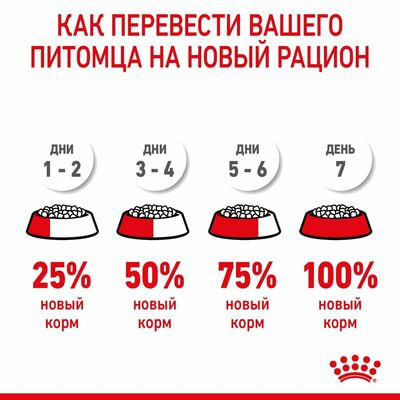 Сухие корма Royal Canin Корм для котят в период первой фазы роста и отъема, беременных и кормящих кошек, Royal Canin Mother&Babycat,сухой, 2 шт по 400 г (вид 7) Сухие корма Royal Canin Корм для котят в период первой фазы роста и отъема, беременных и кормящих кошек, Royal Canin Mother&Babycat,сухой, 2 шт по 400 г (фото, вид 7)
