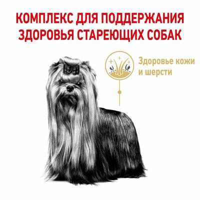 Сухие корма Royal Canin Корм для собак Royal Canin Yorkshire Terrier 8+ сухой для стареющих собак породы Йоркширский Терьер от 8 лет, 2 шт по 500 г (вид 5) Сухие корма Royal Canin Корм для собак Royal Canin Yorkshire Terrier 8+ сухой для стареющих собак породы Йоркширский Терьер от 8 лет, 2 шт по 500 г (фото, вид 5)