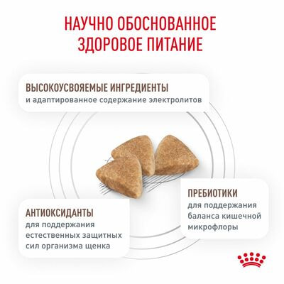 Сухие корма Royal Canin Royal Canin Gastrointestinal Puppy Корм сухой полнорационный диетический для щенков до 1 года при острых расстройствах пищеварения, 10 кг (вид 4) Сухие корма Royal Canin Royal Canin Gastrointestinal Puppy Корм сухой полнорационный диетический для щенков до 1 года при острых расстройствах пищеварения, 10 кг (фото, вид 4)