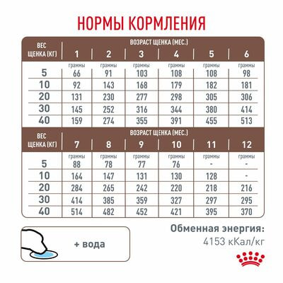 Сухие корма Royal Canin Royal Canin Gastrointestinal Puppy Корм сухой диетический для щенков при расстройствах пищеварения, 1 кг (вид 7) Сухие корма Royal Canin Royal Canin Gastrointestinal Puppy Корм сухой диетический для щенков при расстройствах пищеварения, 1 кг (фото, вид 7)