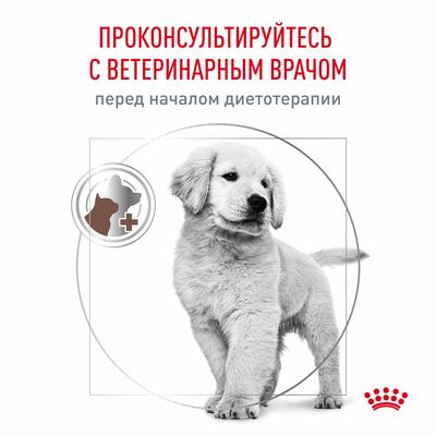 Сухие корма Royal Canin Royal Canin Gastrointestinal Puppy Корм сухой диетический для щенков при расстройствах пищеварения, 1 кг (вид 8) Сухие корма Royal Canin Royal Canin Gastrointestinal Puppy Корм сухой диетический для щенков при расстройствах пищеварения, 1 кг (фото, вид 8)