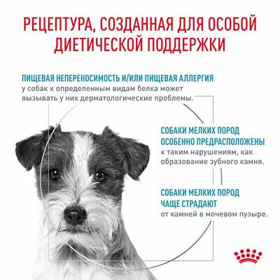 Сухие корма Royal Canin Royal Canin Hypoallergenic Small Dog Canine Корм сухой диетический для взрослых собак при пищевой аллергии, 3,5 кг (вид 2) Сухие корма Royal Canin Royal Canin Hypoallergenic Small Dog Canine Корм сухой диетический для взрослых собак при пищевой аллергии, 3,5 кг (фото, вид 2)