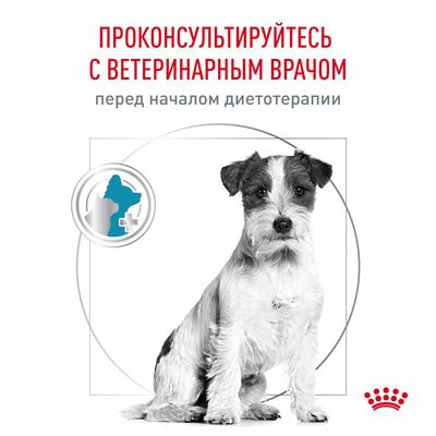 Сухие корма Royal Canin Royal Canin Hypoallergenic Small Dog Canine Корм сухой диетический для взрослых собак при пищевой аллергии, 3,5 кг (вид 3) Сухие корма Royal Canin Royal Canin Hypoallergenic Small Dog Canine Корм сухой диетический для взрослых собак при пищевой аллергии, 3,5 кг (фото, вид 3)