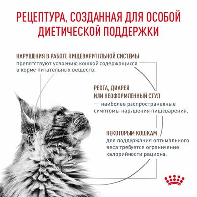 Сухие корма Royal Canin Royal Canin Gastrointestinal Moderate Calorie GIM 35 Feline Корм сухой для кошек при расстройствах пищеварения, 2 кг (вид 2) Сухие корма Royal Canin Royal Canin Gastrointestinal Moderate Calorie GIM 35 Feline Корм сухой для кошек при расстройствах пищеварения, 2 кг (фото, вид 2)