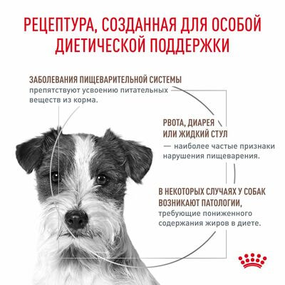 Сухие корма Royal Canin Royal Canin GASTROINTESTINAL LOW FAT SMALL DOG. Корм сухой диетический для для взрослых собак мелких пород, с нарушением пищеварения, с пониженным сожержанием жира, 1кг (вид 2) Сухие корма Royal Canin Royal Canin GASTROINTESTINAL LOW FAT SMALL DOG. Корм сухой диетический для для взрослых собак мелких пород, с нарушением пищеварения, с пониженным сожержанием жира, 1кг (фото, вид 2)