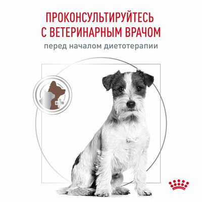 Сухие корма Royal Canin Royal Canin GASTROINTESTINAL LOW FAT SMALL DOG. Корм сухой диетический для для взрослых собак мелких пород, с нарушением пищеварения, с пониженным сожержанием жира, 1кг (вид 3) Сухие корма Royal Canin Royal Canin GASTROINTESTINAL LOW FAT SMALL DOG. Корм сухой диетический для для взрослых собак мелких пород, с нарушением пищеварения, с пониженным сожержанием жира, 1кг (фото, вид 3)