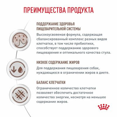 Сухие корма Royal Canin Royal Canin GASTROINTESTINAL LOW FAT SMALL DOG. Корм сухой диетический для для взрослых собак мелких пород, с нарушением пищеварения, с пониженным сожержанием жира, 1кг (вид 5) Сухие корма Royal Canin Royal Canin GASTROINTESTINAL LOW FAT SMALL DOG. Корм сухой диетический для для взрослых собак мелких пород, с нарушением пищеварения, с пониженным сожержанием жира, 1кг (фото, вид 5)