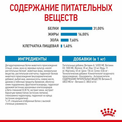 Сухие корма Royal Canin Корм сухой для щенков очень крупных пород в возрасте от 8 до 18/24 месяцев Royal Canin Giant Junior, 3.5 кг (вид 1) Сухие корма Royal Canin Корм сухой для щенков очень крупных пород в возрасте от 8 до 18/24 месяцев Royal Canin Giant Junior, 3.5 кг (фото, вид 1)