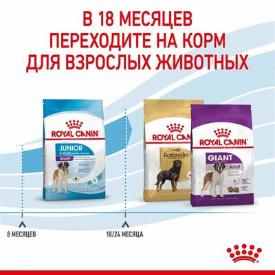 Сухие корма Royal Canin Корм сухой для щенков очень крупных пород в возрасте от 8 до 18/24 месяцев Royal Canin Giant Junior, 3.5 кг (вид 6) Сухие корма Royal Canin Корм сухой для щенков очень крупных пород в возрасте от 8 до 18/24 месяцев Royal Canin Giant Junior, 3.5 кг (фото, вид 6)