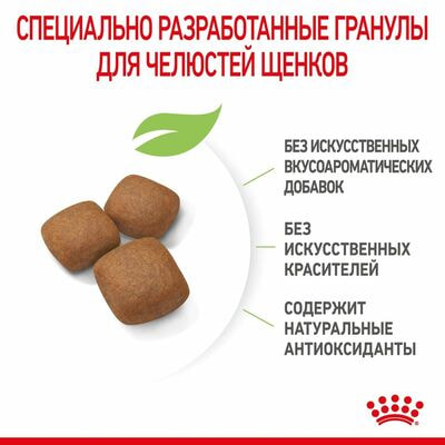 Сухие корма Royal Canin Корм сухой для щенков очень крупных пород в возрасте от 8 до 18/24 месяцев Royal Canin Giant Junior, 3.5 кг (вид 10) Сухие корма Royal Canin Корм сухой для щенков очень крупных пород в возрасте от 8 до 18/24 месяцев Royal Canin Giant Junior, 3.5 кг (фото, вид 10)