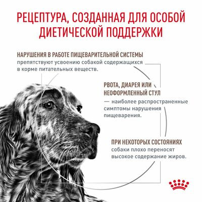 Сухие корма Royal Canin Royal Canin Gastrointestinal Low Fat Корм сухой диетический для собак при нарушениях пищеварения, 1,5 кг (вид 2) Сухие корма Royal Canin Royal Canin Gastrointestinal Low Fat Корм сухой диетический для собак при нарушениях пищеварения, 1,5 кг (фото, вид 2)