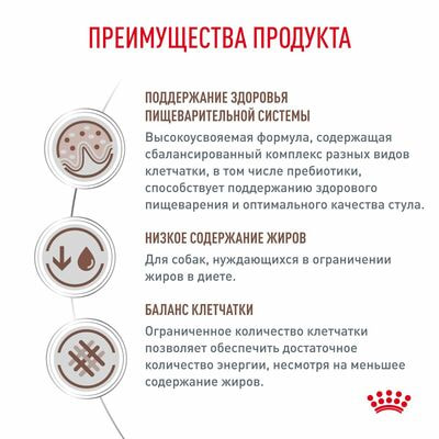 Сухие корма Royal Canin Royal Canin Gastrointestinal Low Fat Корм сухой диетический для собак при нарушениях пищеварения, 1,5 кг (вид 4) Сухие корма Royal Canin Royal Canin Gastrointestinal Low Fat Корм сухой диетический для собак при нарушениях пищеварения, 1,5 кг (фото, вид 4)