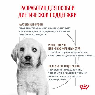 Сухие корма Royal Canin Royal Canin Gastrointestinal Puppy Корм сухой диетический для щенков при расстройствах пищеварения, 2,5 кг (вид 8) Сухие корма Royal Canin Royal Canin Gastrointestinal Puppy Корм сухой диетический для щенков при расстройствах пищеварения, 2,5 кг (фото, вид 8)