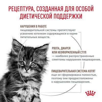Сухие корма Royal Canin Royal Canin GASTROINTESTINAL KITTEN Корм сухой диетический для котят в возрасте от 2 до 10 месяцев при нарушениях пищеварения. Ветеринарная диета , 2кг (вид 3) Сухие корма Royal Canin Royal Canin GASTROINTESTINAL KITTEN Корм сухой диетический для котят в возрасте от 2 до 10 месяцев при нарушениях пищеварения. Ветеринарная диета , 2кг (фото, вид 3)