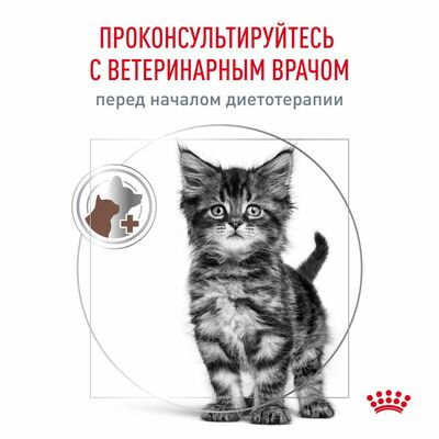 Сухие корма Royal Canin Royal Canin GASTROINTESTINAL KITTEN Корм сухой диетический для котят в возрасте от 2 до 10 месяцев при нарушениях пищеварения. Ветеринарная диета , 2кг (вид 8) Сухие корма Royal Canin Royal Canin GASTROINTESTINAL KITTEN Корм сухой диетический для котят в возрасте от 2 до 10 месяцев при нарушениях пищеварения. Ветеринарная диета , 2кг (фото, вид 8)