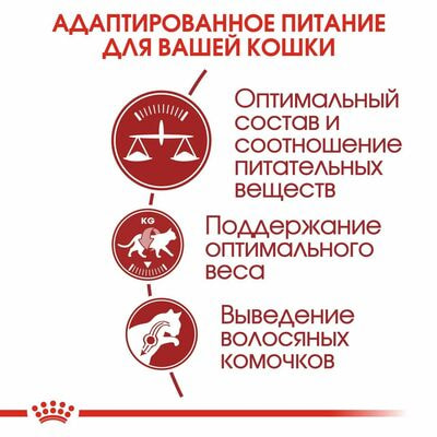 Сухие корма Royal Canin Корм для кошек Royal Canin Fit 32 Корм сухой сбалансированный для взрослых умеренно активных кошек от 1 года,4 кг (вид 6) Сухие корма Royal Canin Корм для кошек Royal Canin Fit 32 Корм сухой сбалансированный для взрослых умеренно активных кошек от 1 года,4 кг (фото, вид 6)