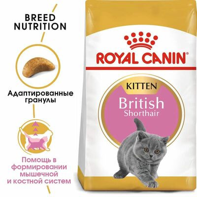 Сухие корма Royal Canin Корм для кошек Royal Canin British Shorthair Kitten сухой сбалансированный для британских короткошерстных котят, 2 кг (вид 3) Сухие корма Royal Canin Корм для кошек Royal Canin British Shorthair Kitten сухой сбалансированный для британских короткошерстных котят, 2 кг (фото, вид 3)