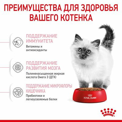Сухие корма Royal Canin Корм для котят Royal Canin Kitten Корм сухой сбалансированный период второй фазы роста, 1,2 кг (вид 7) Сухие корма Royal Canin Корм для котят Royal Canin Kitten Корм сухой сбалансированный период второй фазы роста, 1,2 кг (фото, вид 7)
