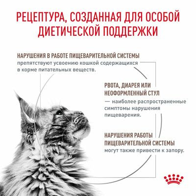 Сухие корма Royal Canin Royal Canin Gastrointestinal Fibre Response Корм сухой диетический для кошек при запорах, 2 кг (вид 2) Сухие корма Royal Canin Royal Canin Gastrointestinal Fibre Response Корм сухой диетический для кошек при запорах, 2 кг (фото, вид 2)